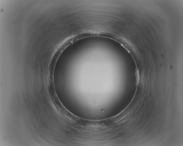 X0000083530540200702161915