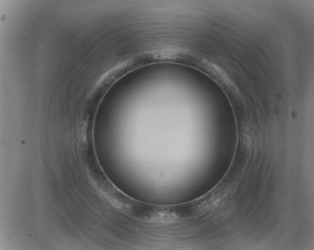 X0000083530543200702161915