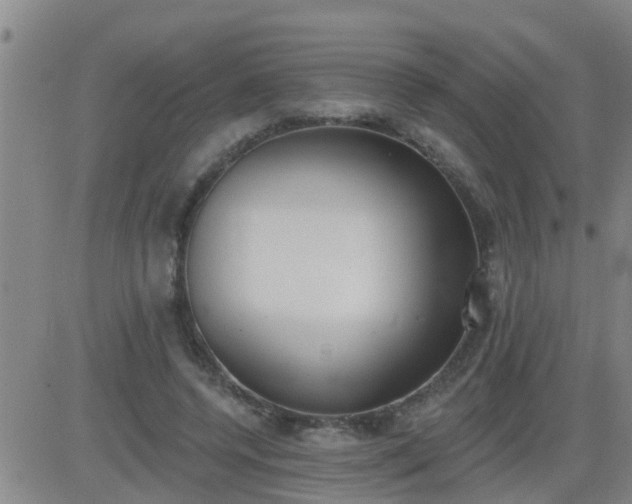 X0000083530544200702161915