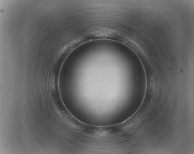 X0000083530547200702161915