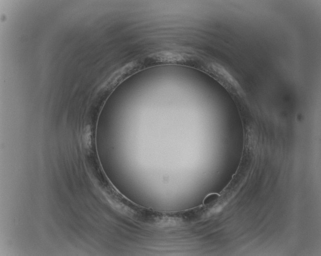 X0000083530549200702161915