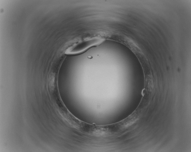 X0000083530550200702161915