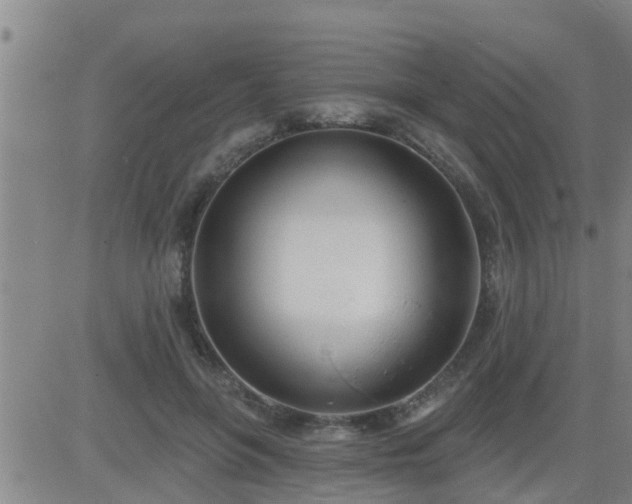 X0000083530551200702161915