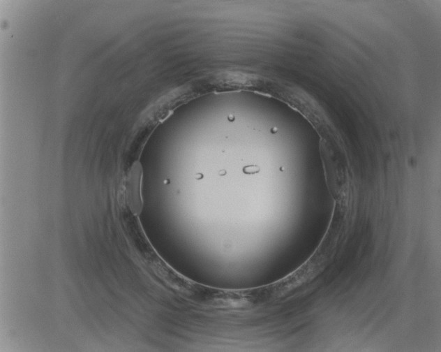 X0000083530552200702161915