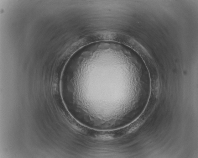 X0000083530553200702161915