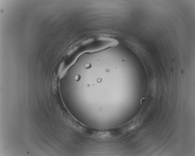 X0000083530554200702161915