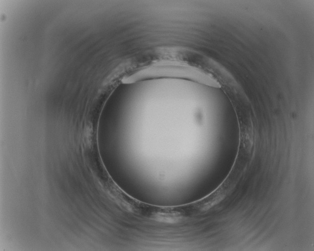 X0000083530556200702161915