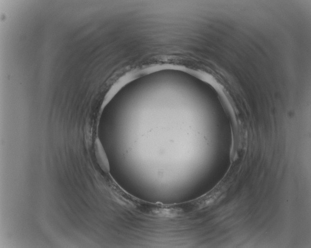 X0000083530558200702161915