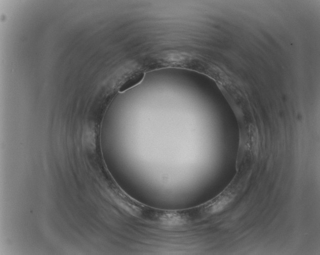 X0000083530562200702161915