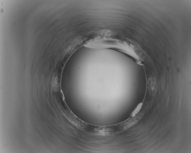 X0000083530564200702161915