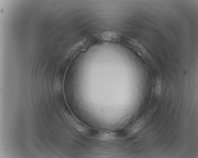 X0000083530569200702161915