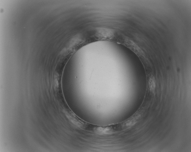 X0000083530570200702161915