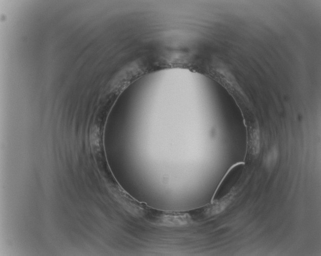 X0000083530571200702161915