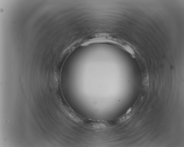 X0000083530572200702161915