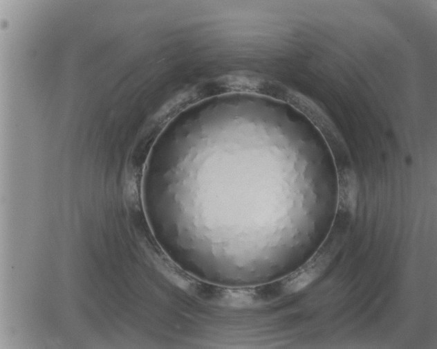 X0000083530573200702161915