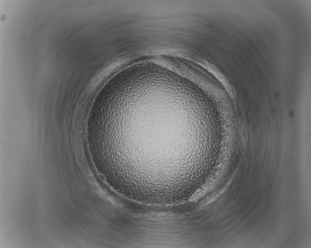 X0000083530577200702161915