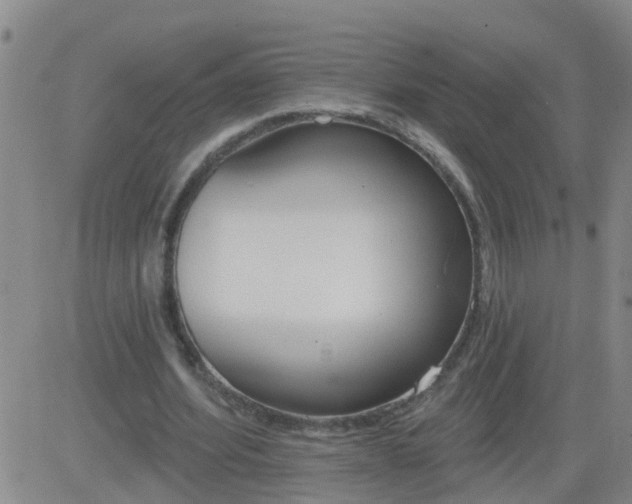 X0000083530580200702161914