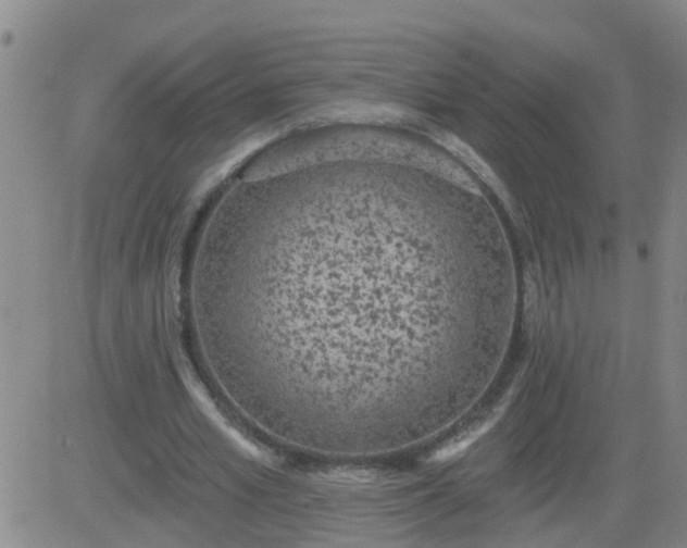 X0000083530581200702161914