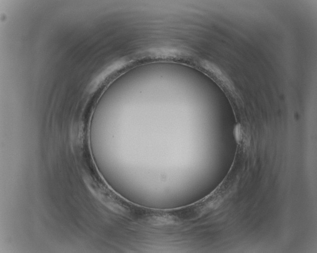 X0000083530583200702161914