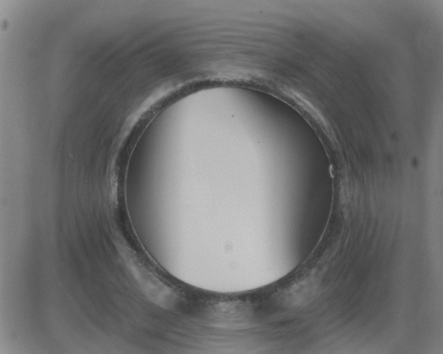 X0000083530584200702161914