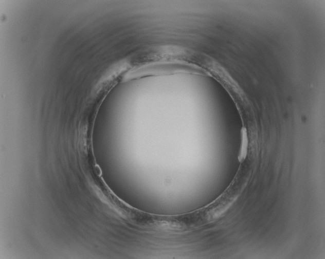 X0000083530585200702161914