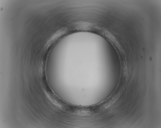 X0000083530586200702161914