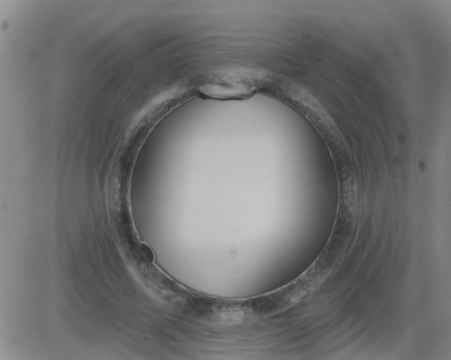 X0000083530587200702161914