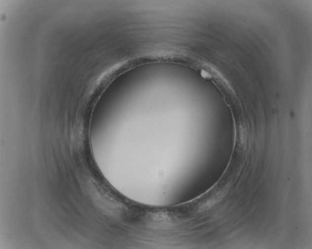 X0000083530588200702161914