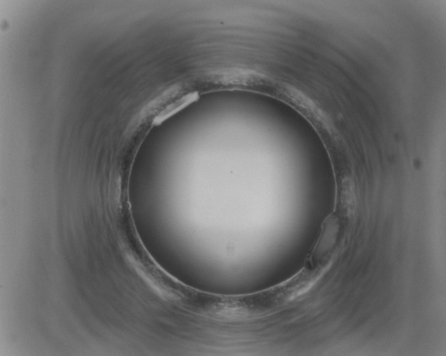 X0000083530589200702161914