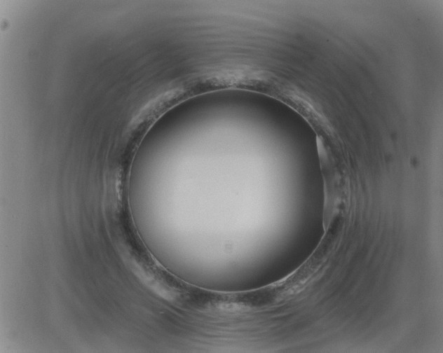 X0000083530590200702161914