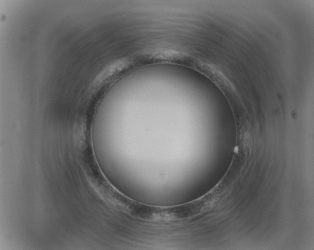 X0000083530591200702161914