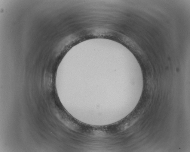 X0000083530592200702161914