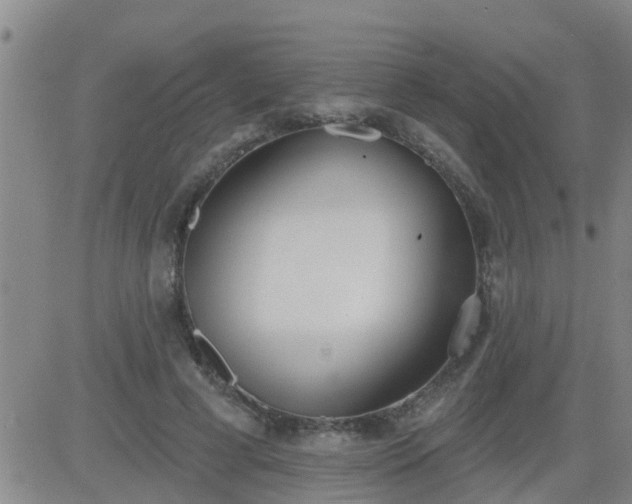 X0000083530593200702161914