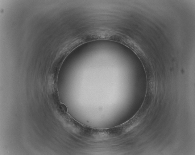 X0000083530594200702161914