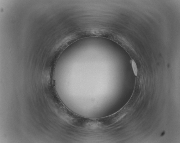 X0000083530595200702161914