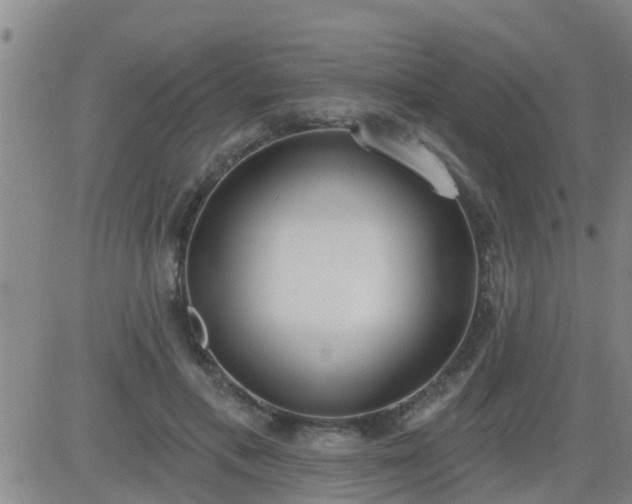 X0000083530597200702161914