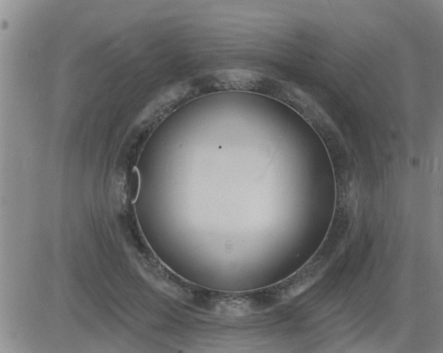 X0000083530599200702161914