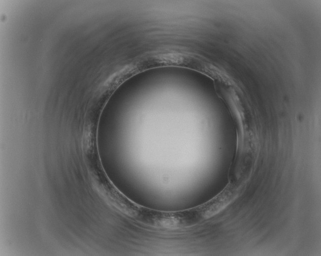 X0000083530600200702161914