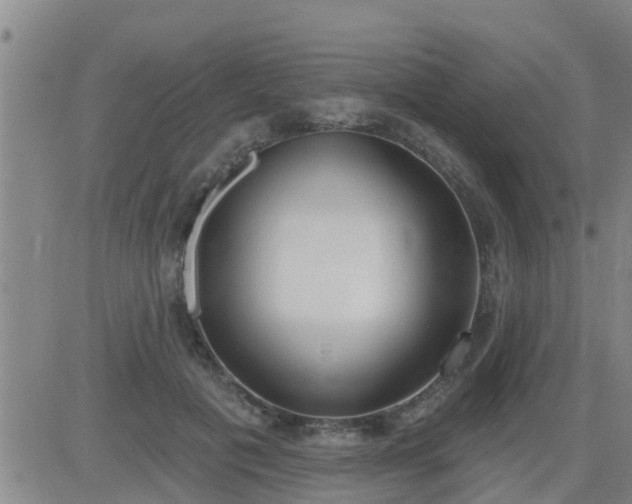 X0000083530601200702161914