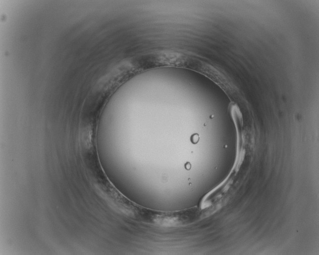 X0000083530602200702161914