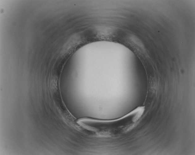 X0000083530603200702161914