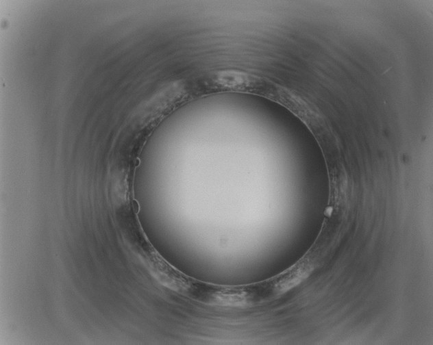 X0000083530606200702161914