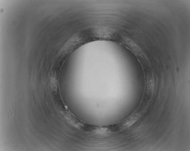 X0000083530609200702161914