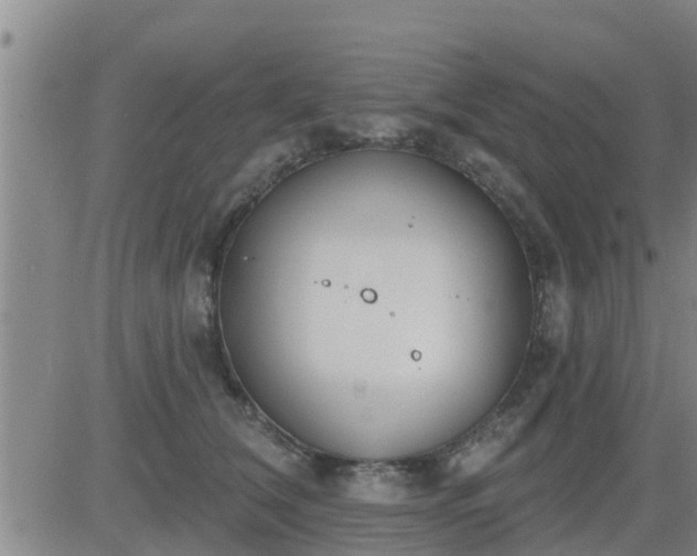 X0000083530612200702161914