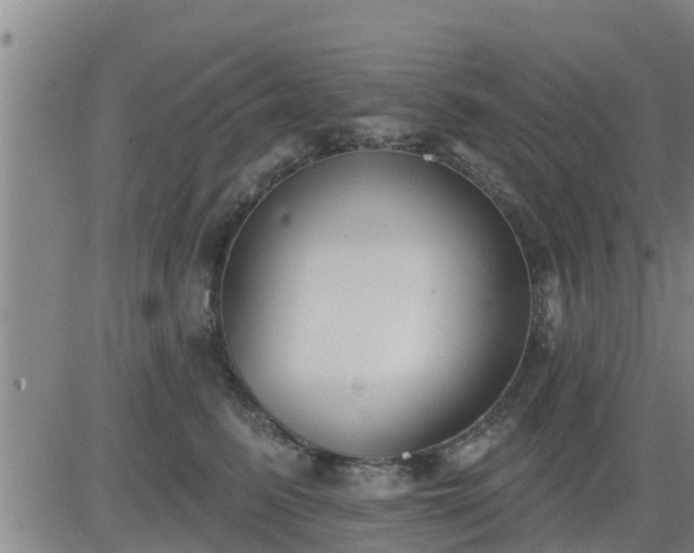 X0000083530615200702161914