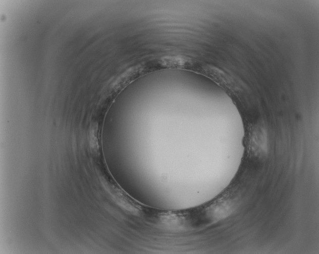 X0000083530616200702161914