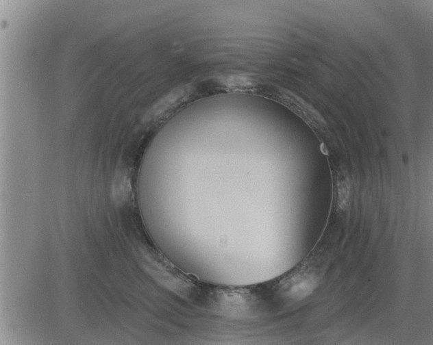 X0000083530618200702161914