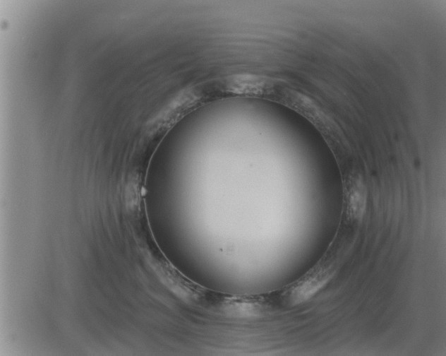 X0000083530620200702161914