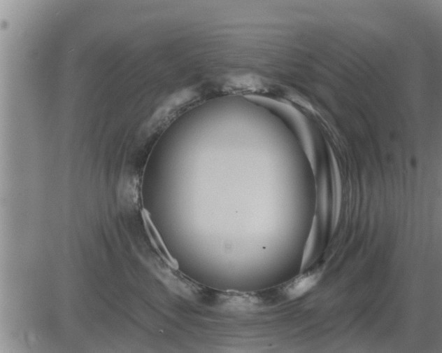 X0000083530621200702161914