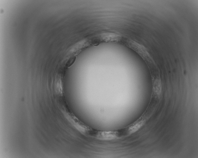 X0000083530622200702161914